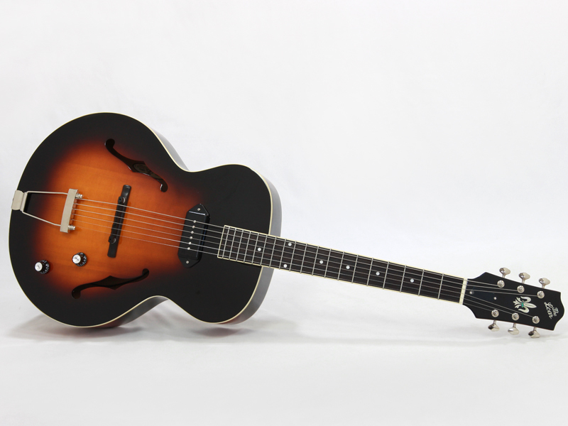 The loar LH-309 www.sudouestprimeurs.fr