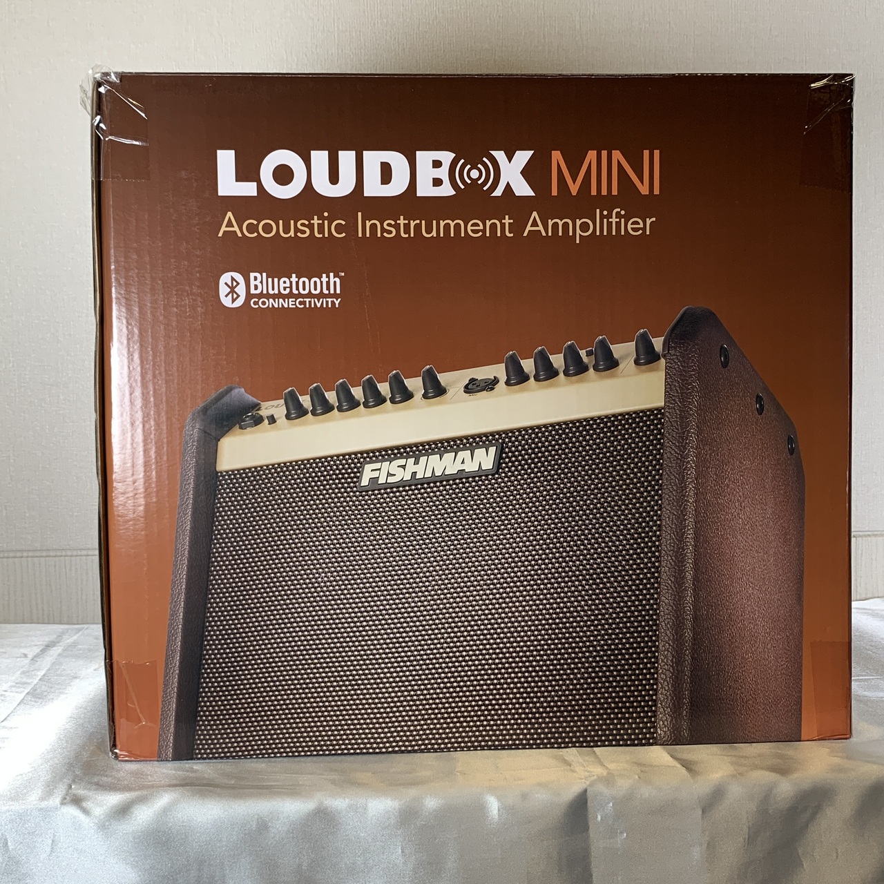 jual fishman loudbox mini