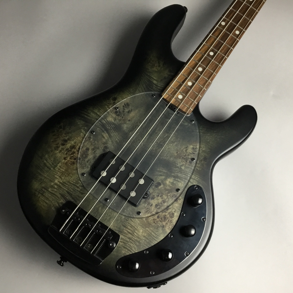 Sterling by MUSIC MAN RAY34PB-R2 エレキベース（新品/送料無料