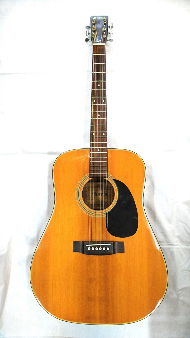アコースティックギター　MORRIS  W-15