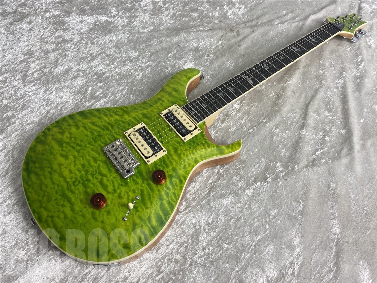 PRS SE Custom バードインレイ　24F