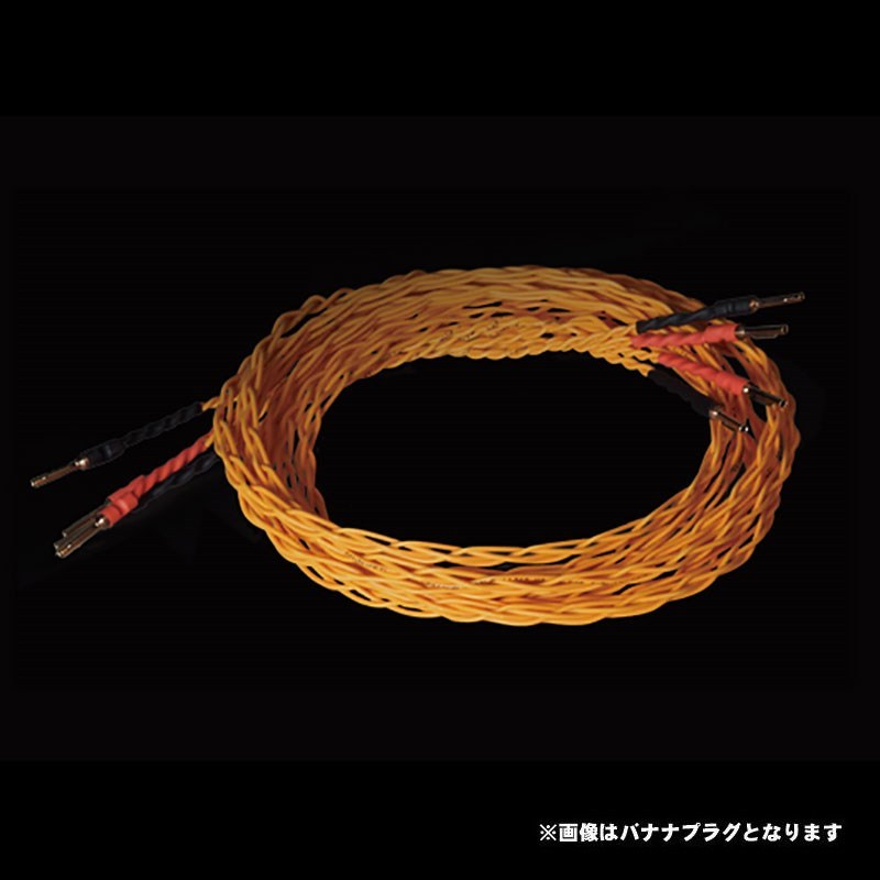 Amphion Speaker Cable 【2.5m】 (スピコン-バナナプラグ) 【ペア