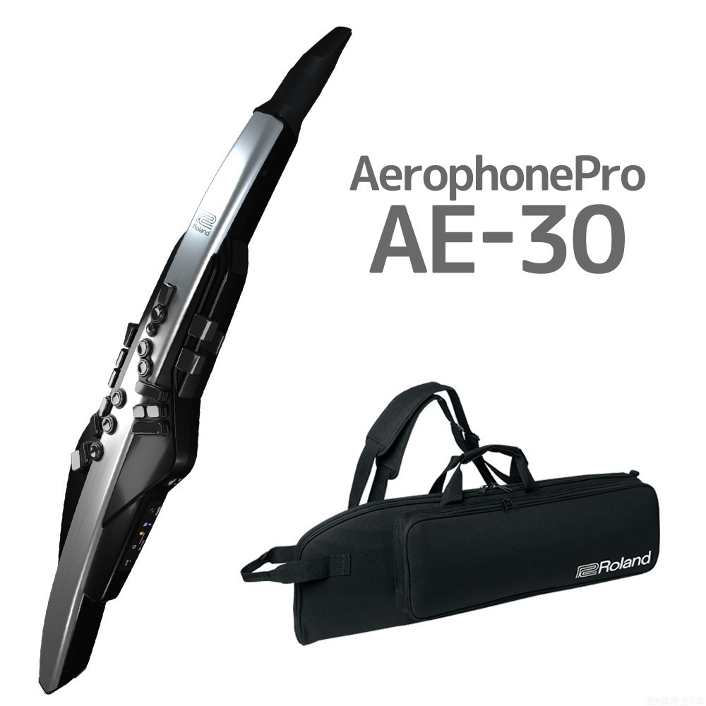 Roland Aerophone Pro AE-30 エアロフォン【送料無料】【分割金利0%】（新品/送料無料）【楽器検索デジマート】