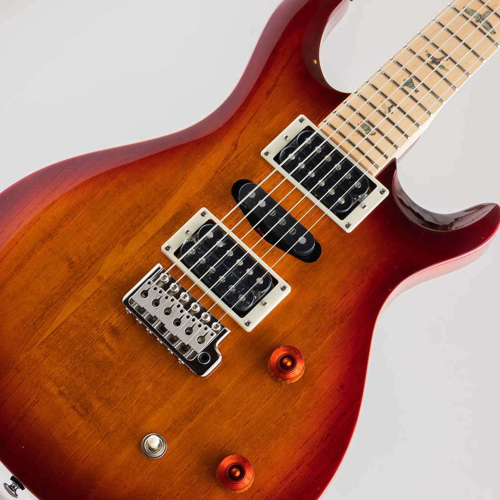 Paul Reed Smith(PRS) SE Swamp Ash Special Vintage Sunburst（新品