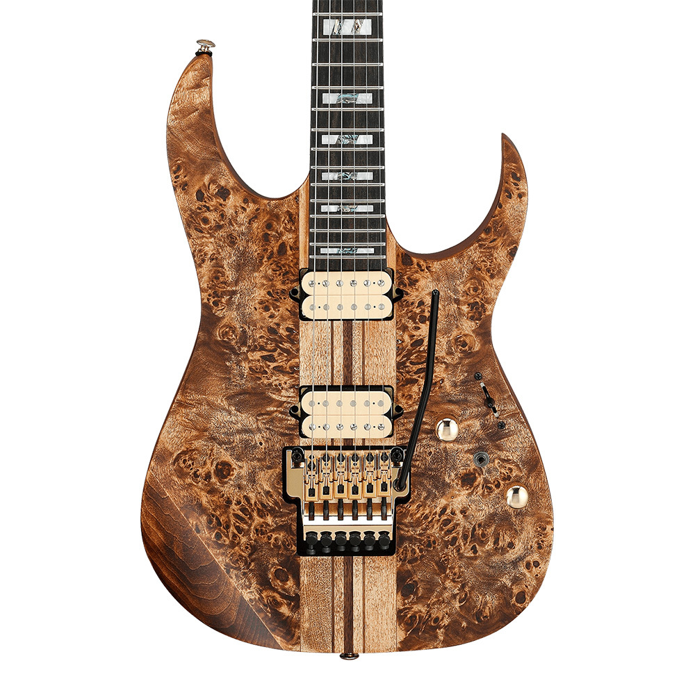 Ibanez RG Premium RGT1220PB-ABS (Antique Brown Stained Flat)（新品 ...