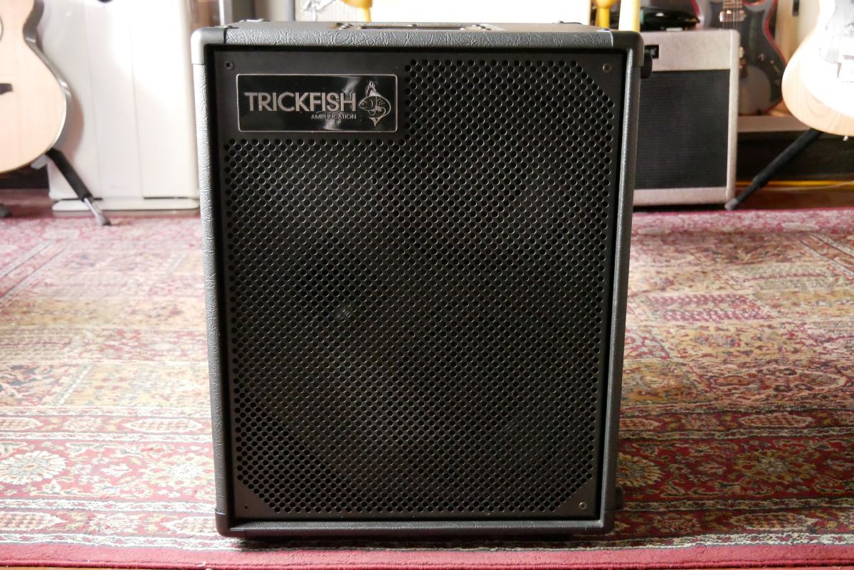 TRICKFISH AMPLIFICATION TF208V 【8インチスピーカー×2発搭載の