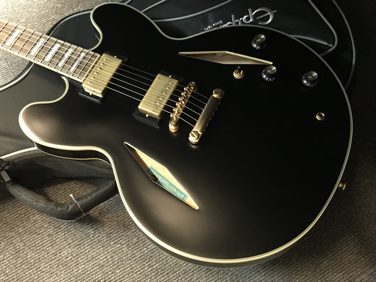 Epiphone Emily Wolfe Sheraton Stealth (#20121526203) Black Aged