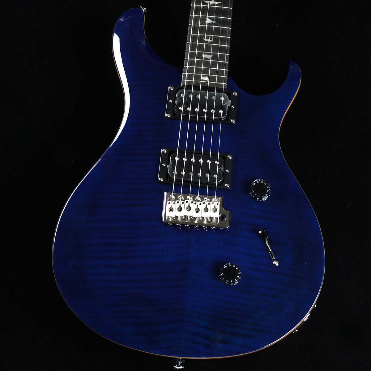 2013年製 PRS SE custom24 バードインレイ - エレキギター