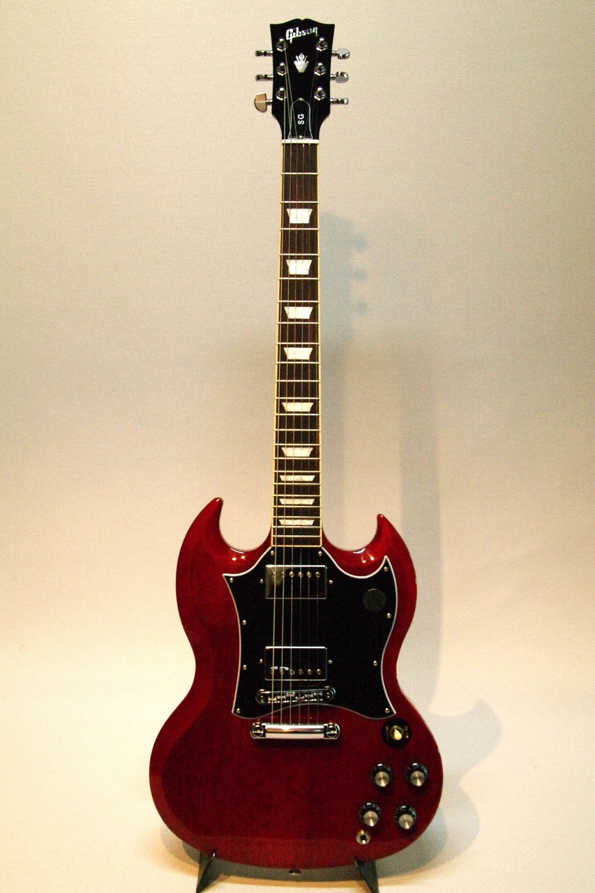 ハードケースのみ(Gibson SG standard用) | www.npssbs.org.in