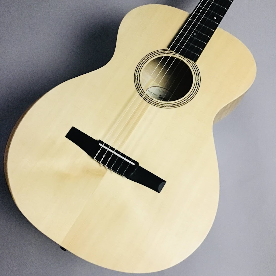 Taylor LTD EG Academy 12e-N エレガットギター（新品/送料無料