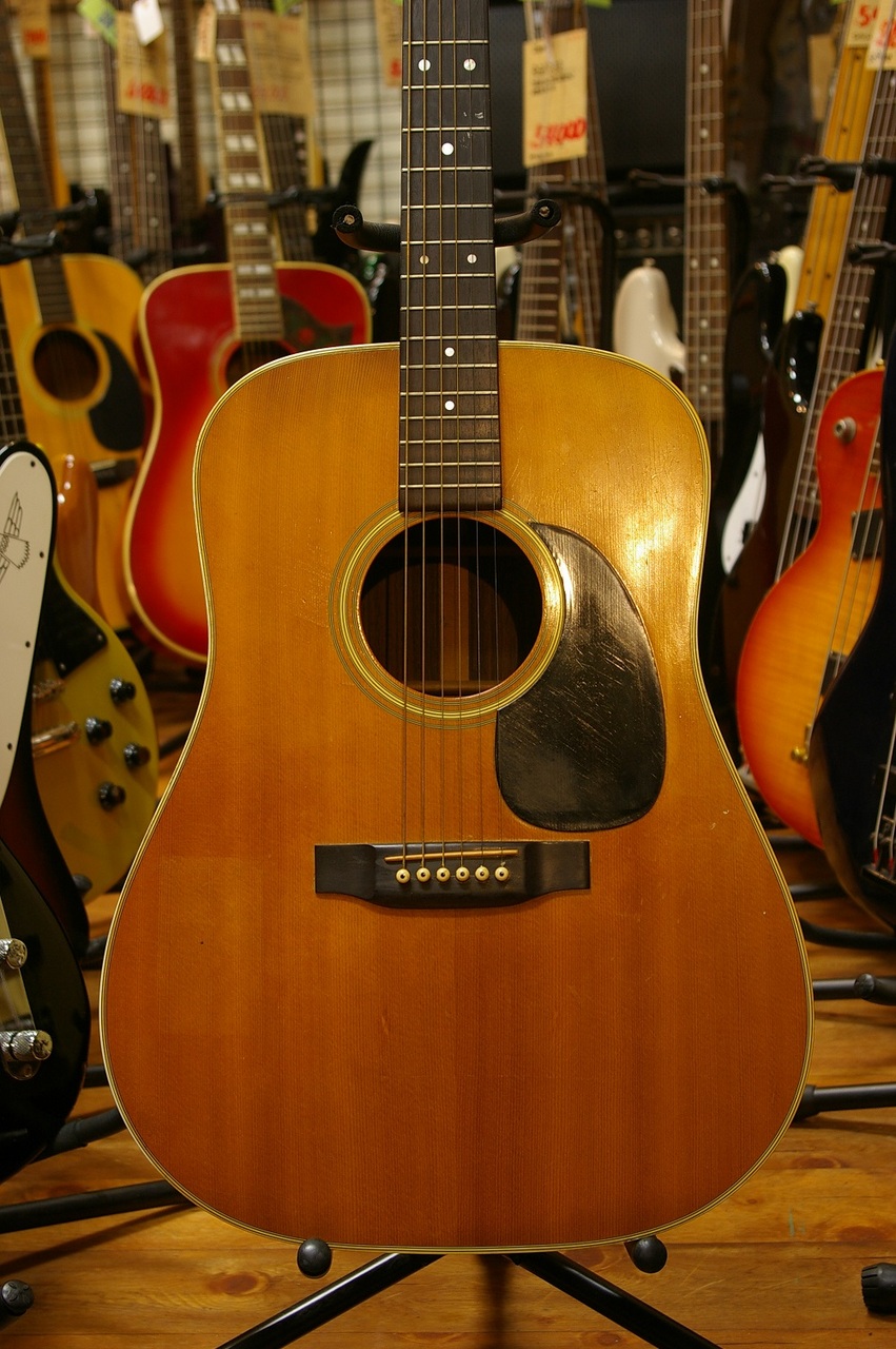 Martin D-28 ギター