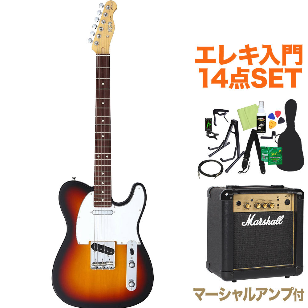 フジゲン エレキギター ソフトケース+その他セット