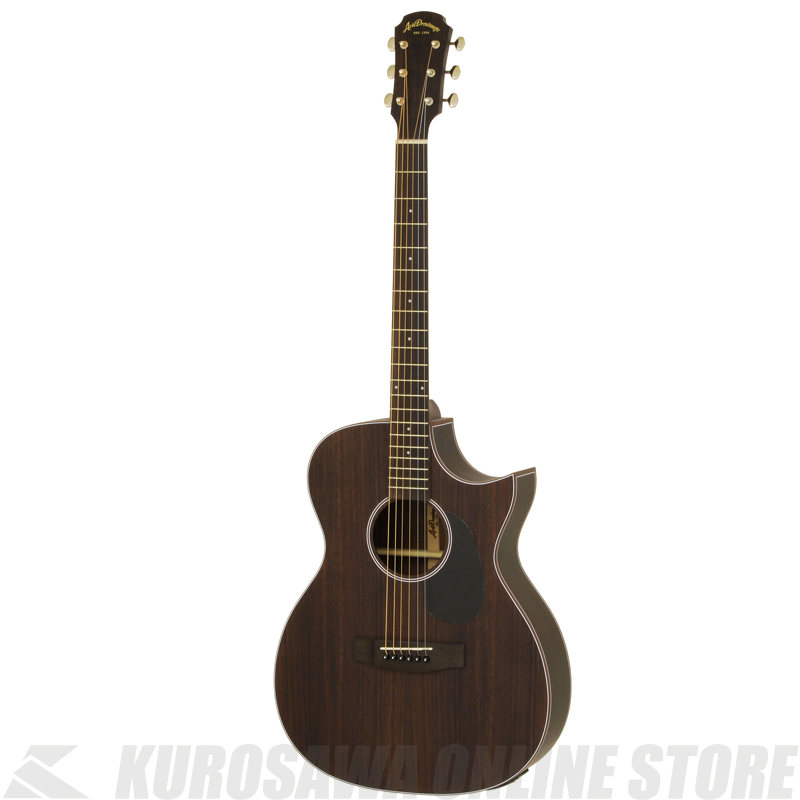 アコースティックギター aria www.krzysztofbialy.com