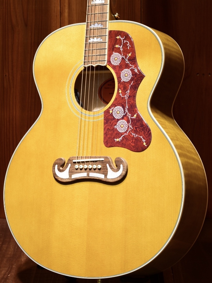 野花 卯月 最終値下げepiphone Epiphone Masterbilt J-200