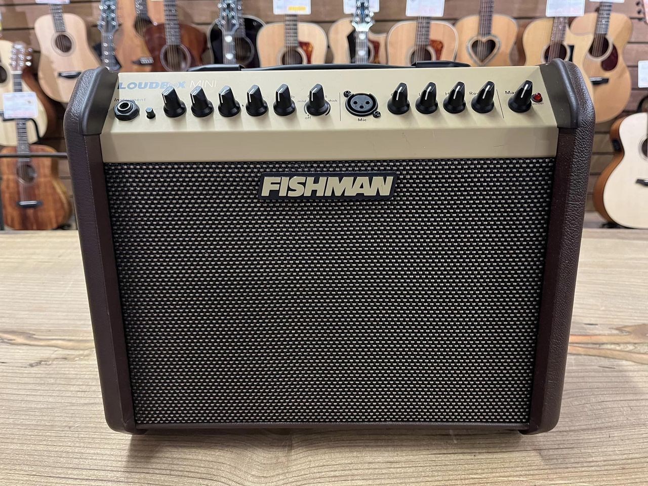 FISHMAN LOUDBOX MINI（中古）【楽器検索デジマート】