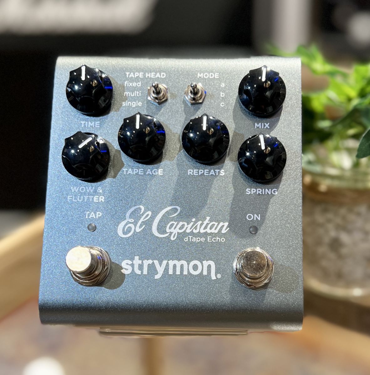 新品未使用　Strymon el capistan テープエコー