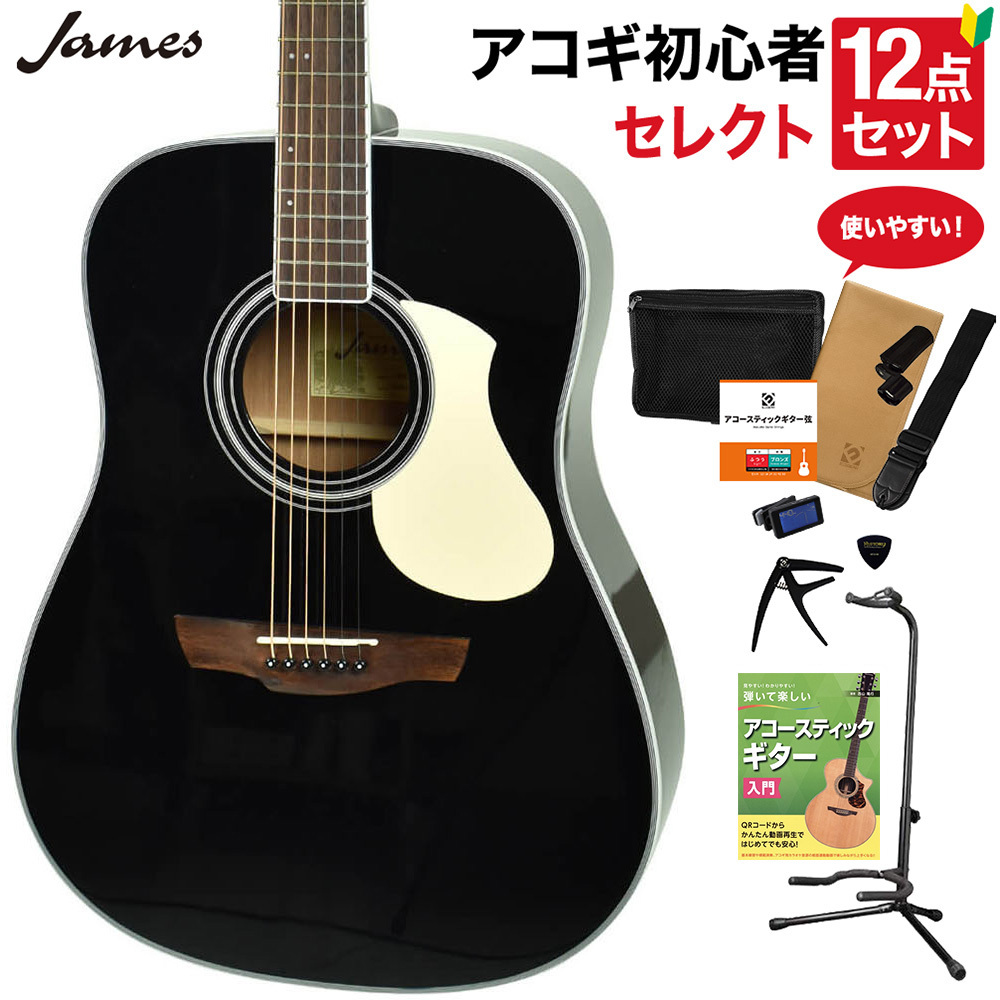 James J300A TRD アコースティックギター - ギター