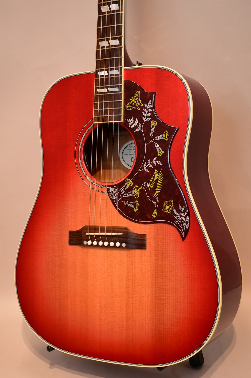 Epiphone、サンバースト 系のアコースティックギター検索結果
