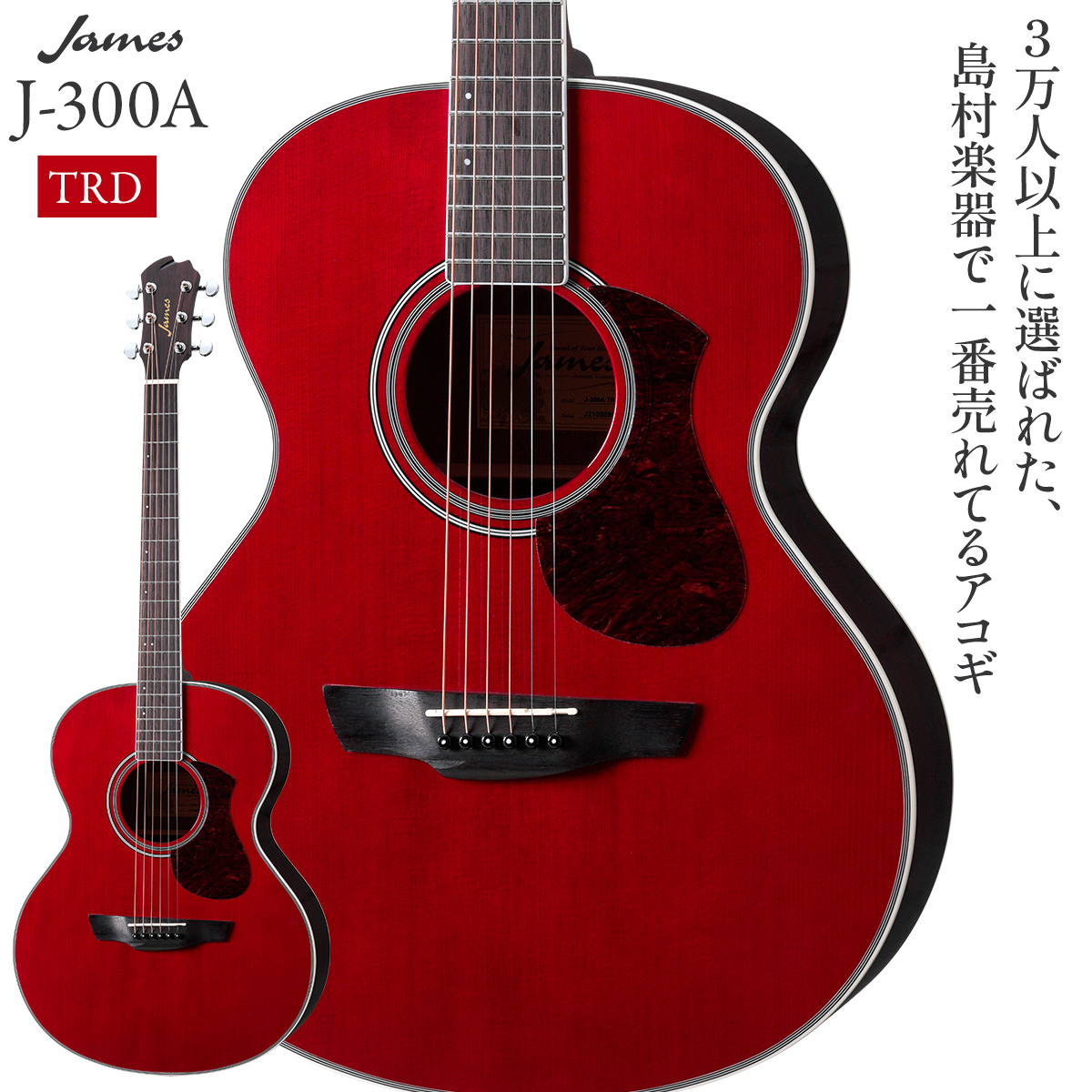 未使用アコースティックギター 【ジェームス】島村楽器 - 弦楽器、ギター