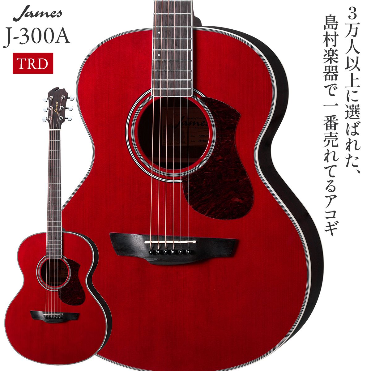 アコースティックギター James JF350BK - 弦楽器、ギター