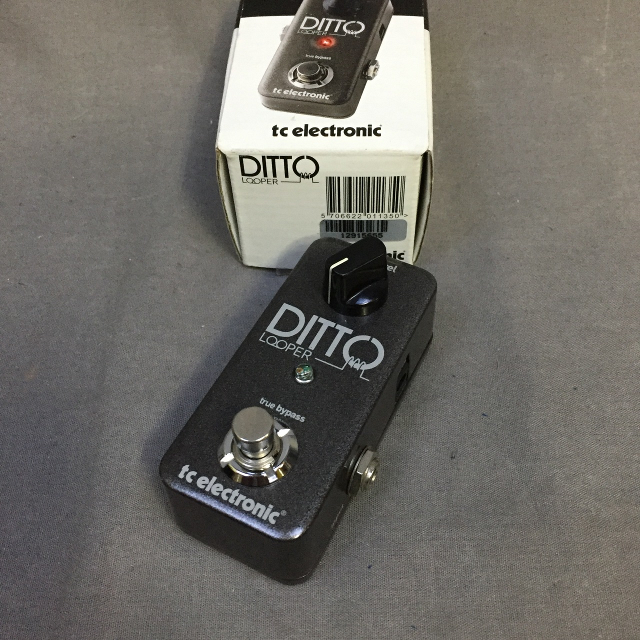 TC ELECTRONIC  DITTO LOOPER ルーパー