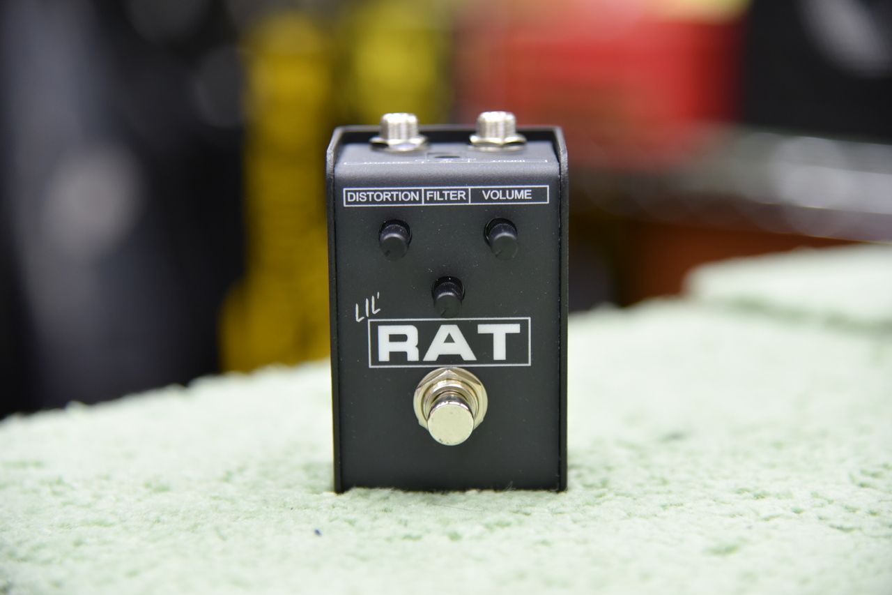 Pro Co LIL' RAT（新品）【楽器検索デジマート】