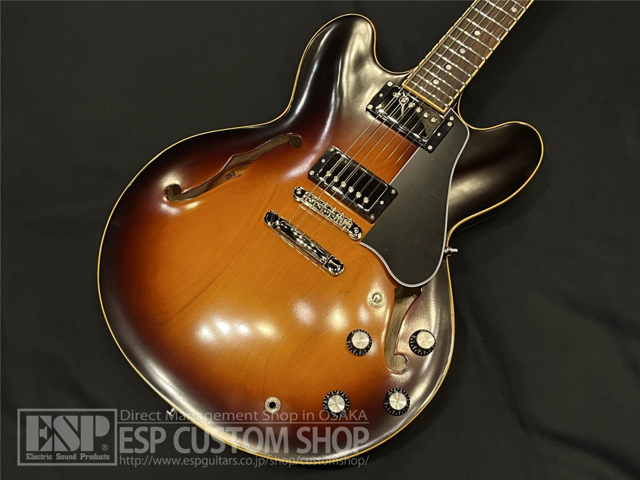 EDWARDS E-SA-STD Tobacco Sunburst（新品/送料無料）【楽器検索