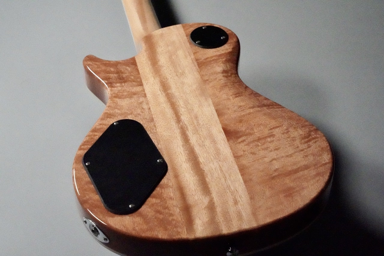 日本専門店 最終価格 美品 SE Zach Myers PRS ポールリードスミス 