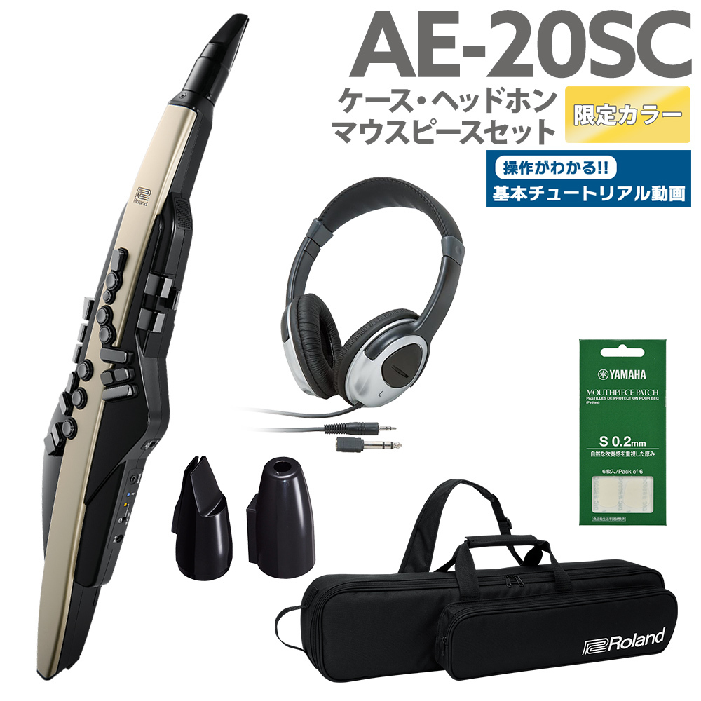 Roland AE-20SC ケース ヘッドホン マウススピースセット 限定カラー