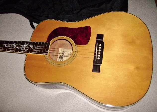 washburn d95 ltd