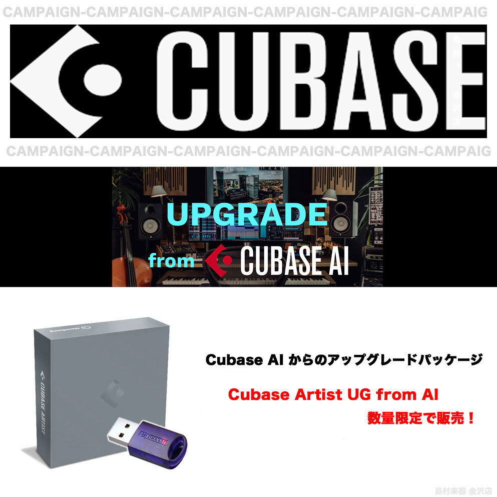 Steinberg CUBASE ART / UGAI 最新バージョン 【数量限定品 - 在庫有り