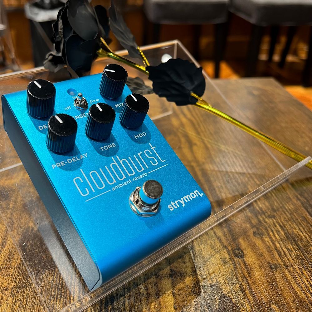 strymon CloudBurst リバーブ アンビエントペダル（新品/送料無料