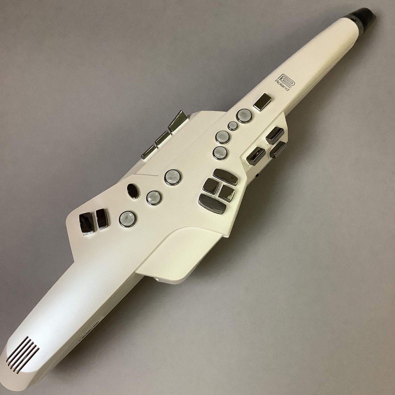 ジャンク】Aerophone AE-10 エアロフォン ローランド - 管楽器