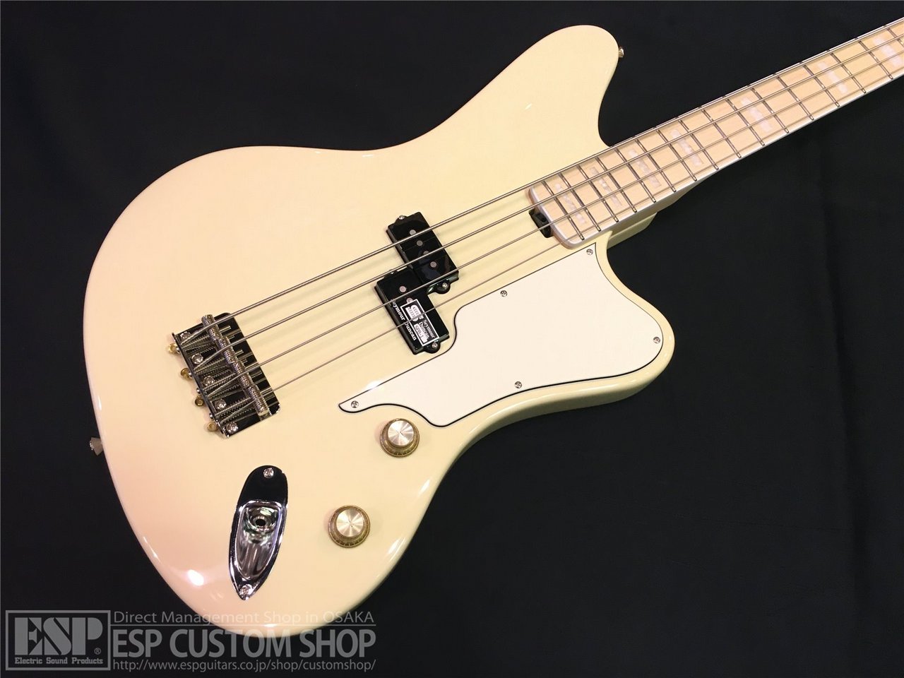 EDWARDS E-GROOVER-PB Vintage White（新品/送料無料）【楽器検索