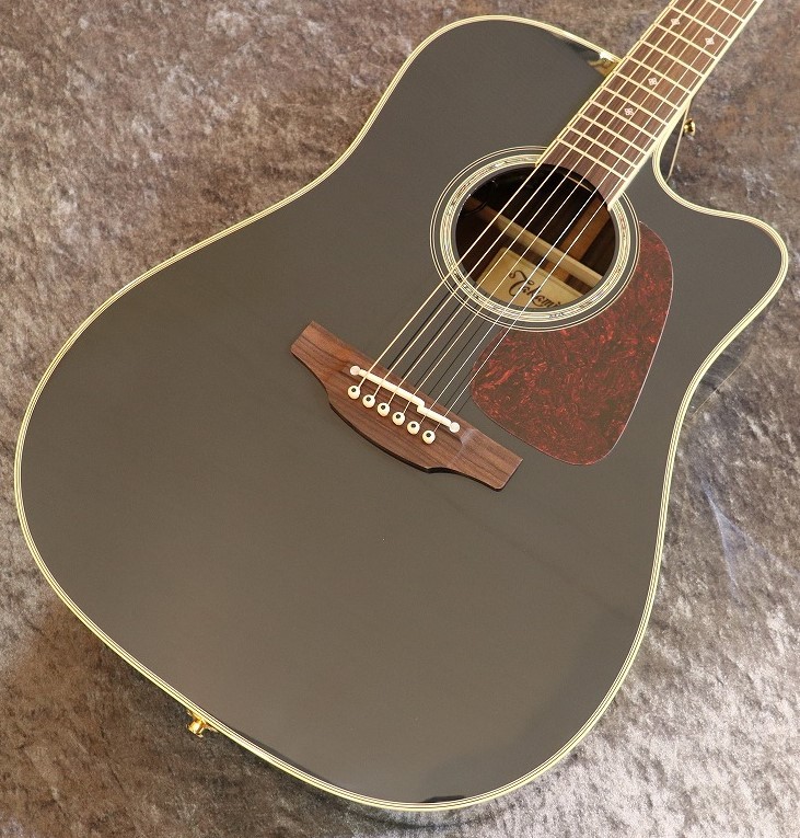 takamine dmp200