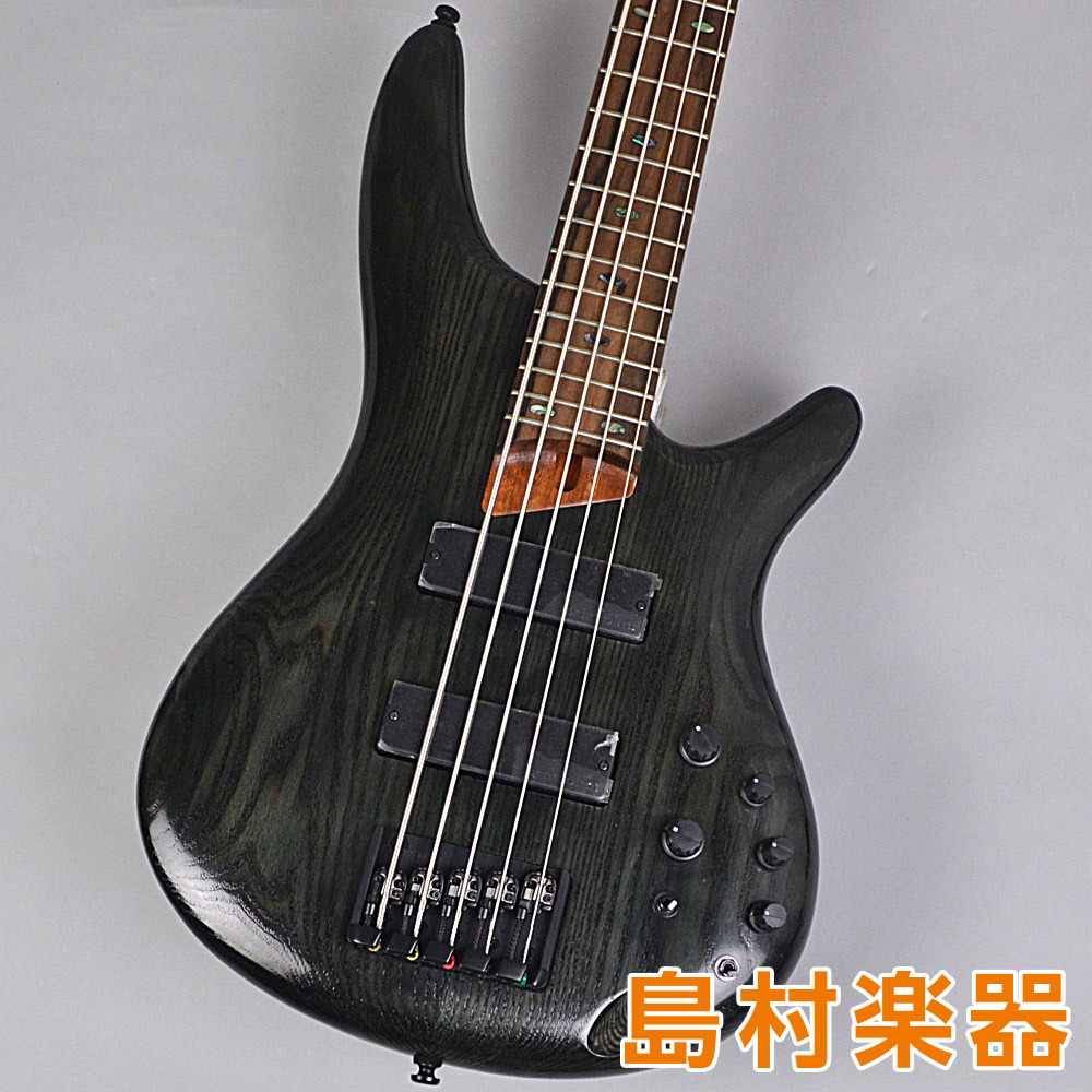 Ibanez エレキベース ５弦 器材 | thephysicaleducator.com