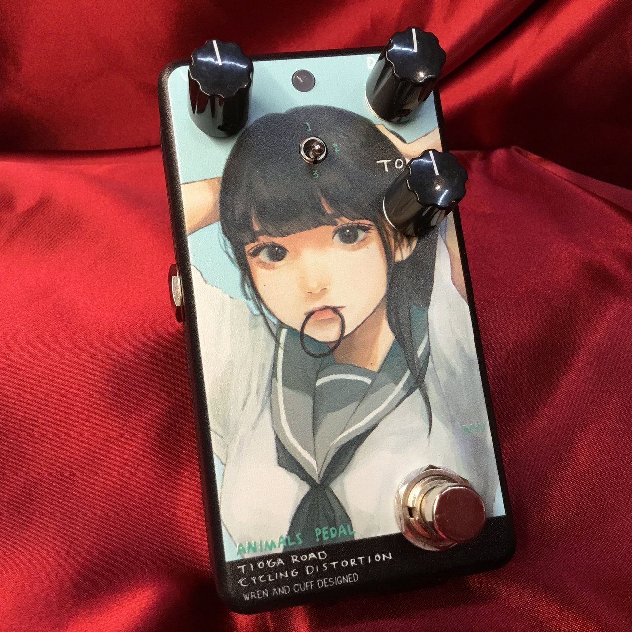 ANIMALS PEDAL Custom Illustrated 034夏の仕草