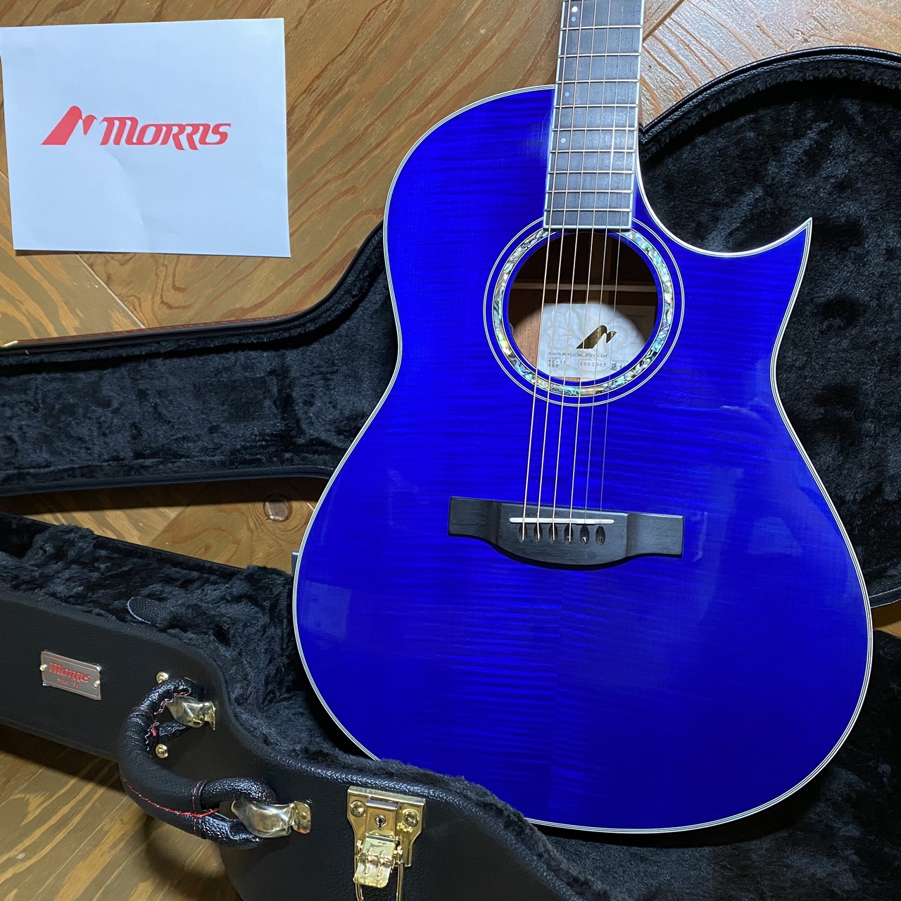 Morris 【モーリス】TC-16 See-through blue 【B級特価品】（B級特価