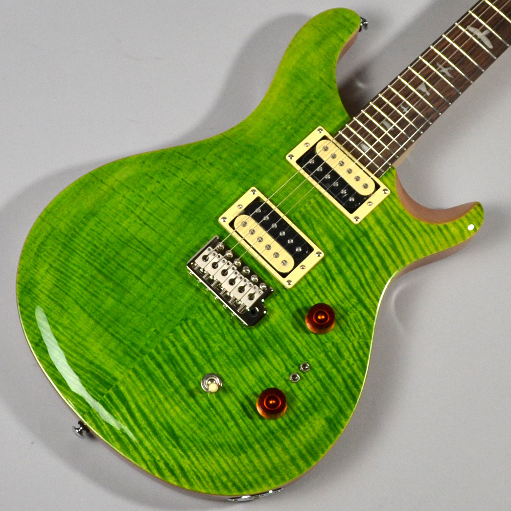 PRS SE Custom 24-08 Eriza Verde 極美品 unitedwarehouses.co.ke