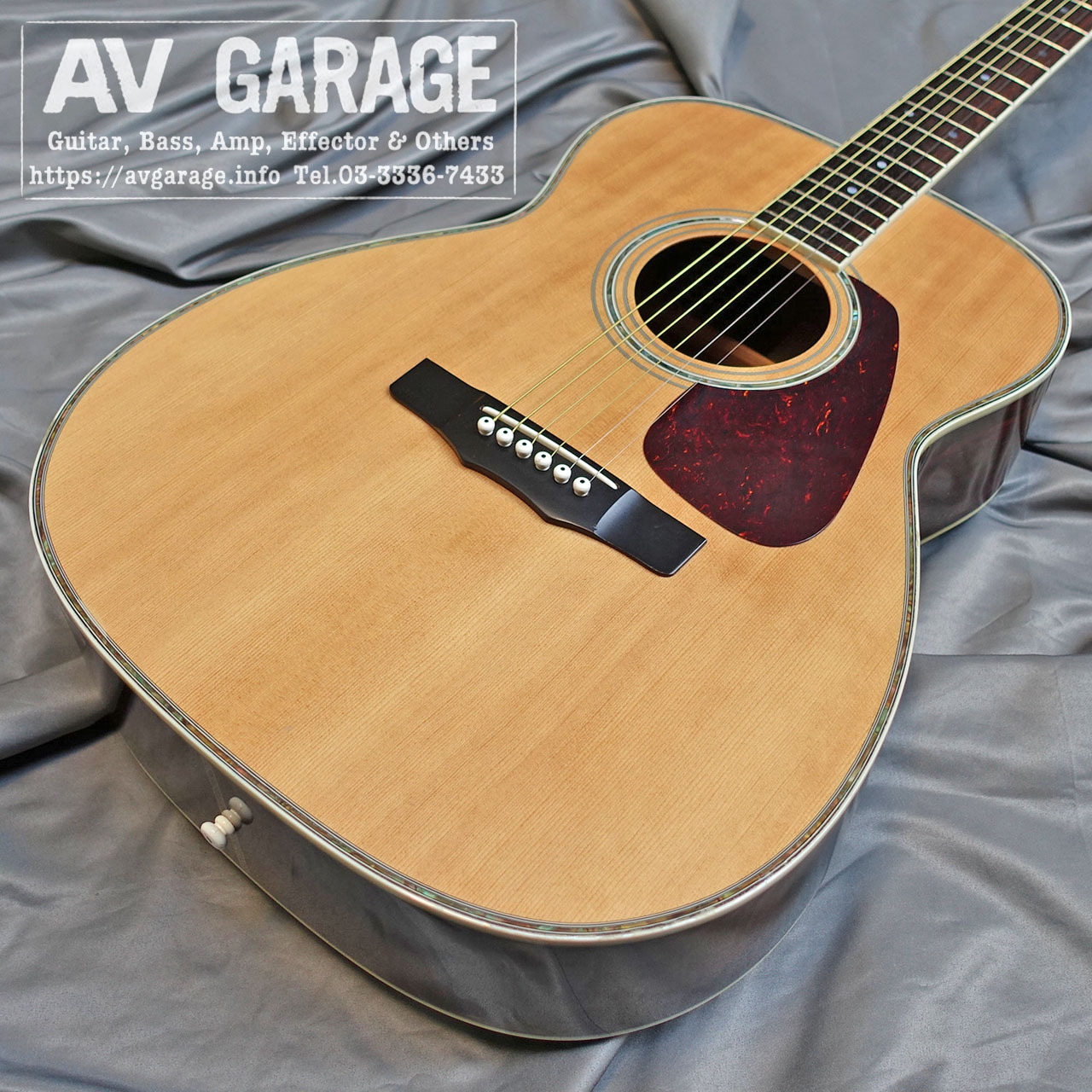MORRIS M-601 アコギ アコースティックギター ハードケース - ギター