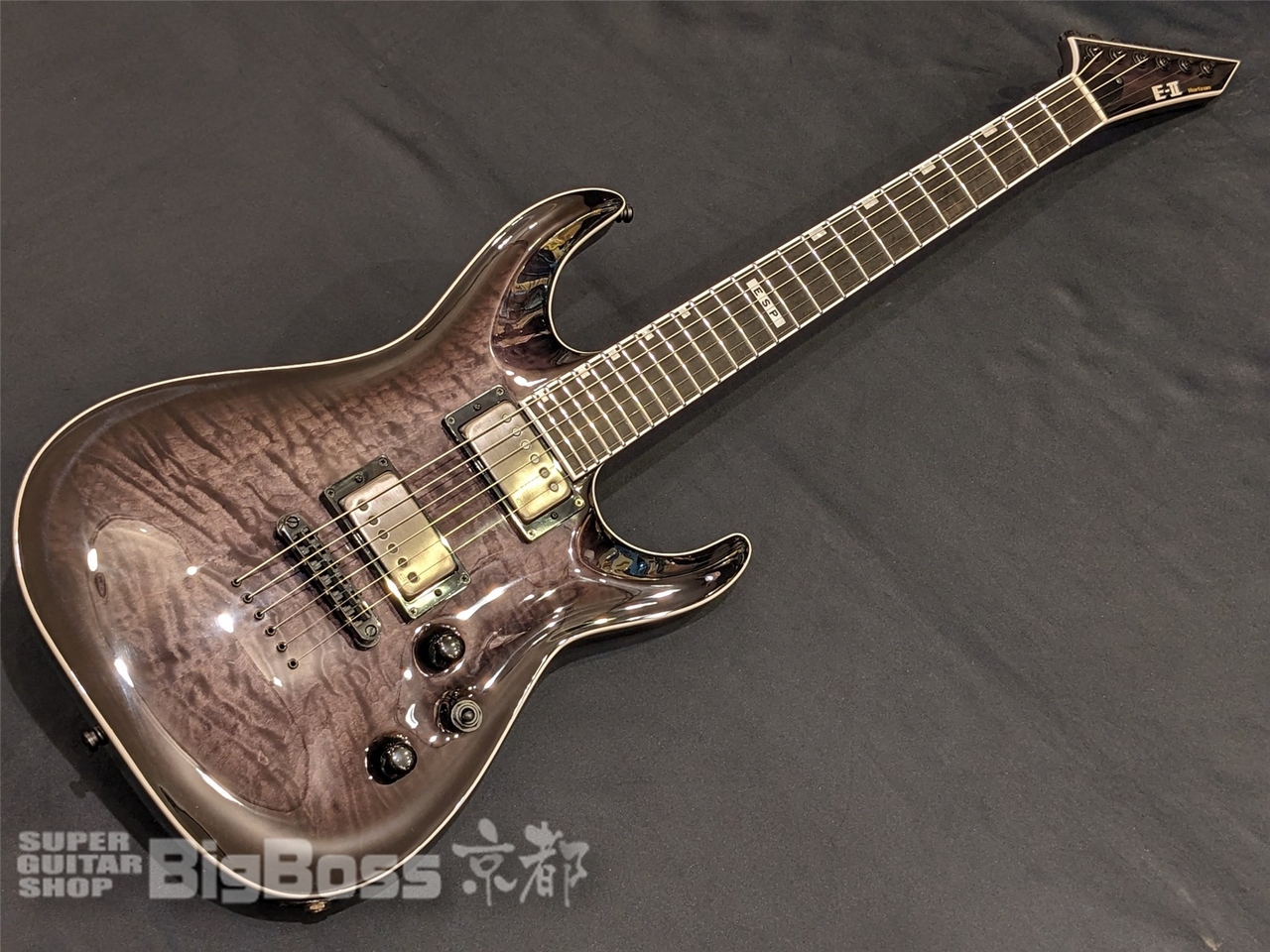 ESP HORIZON I EMG搭載-