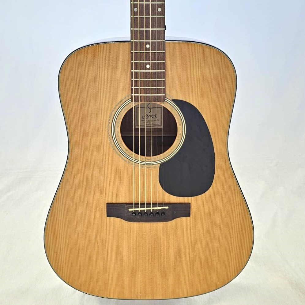 19,900円Vesta Graham ベスタグラハム VD-40 希少アコースティックギター