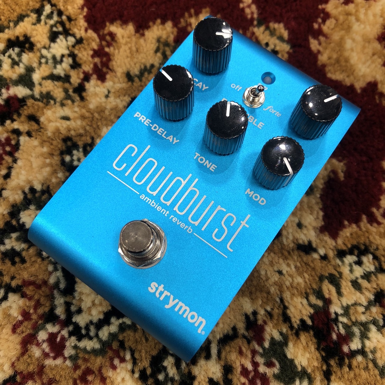 strymon CloudBurst リバーブ アンビエントペダル（新品特価/送料無料