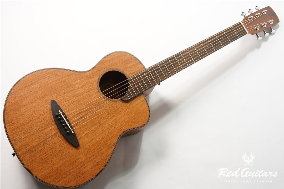 超人気新品 anuenue Bird Series M20 アヌエヌエ Original アコギ