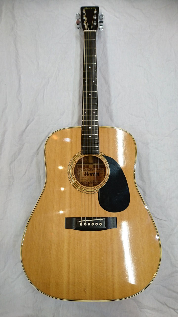 ギターmorris w-20 - アコースティックギター