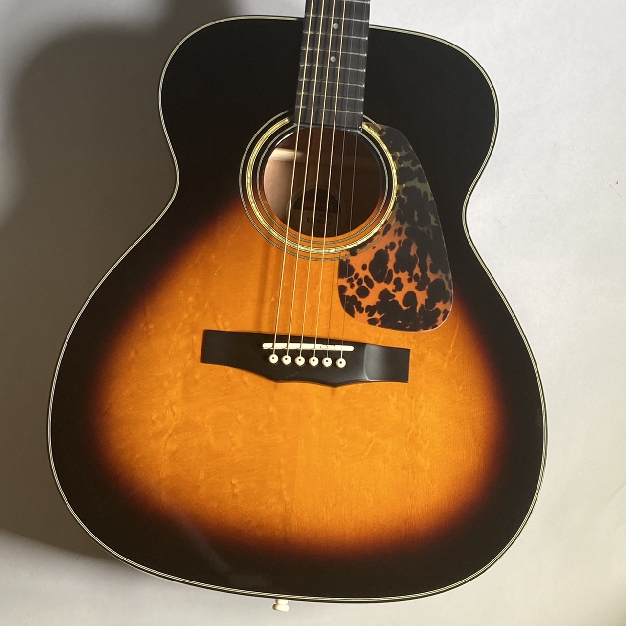 贈り物 ☆美品！Morris モーリス M-12Ⅱ TOP単板 アコースティック