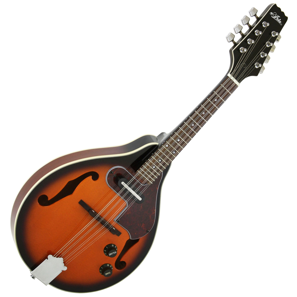 Aria AM-40 Mandolin マイク搭載!! アンプに繋げる フラットマンドリン 