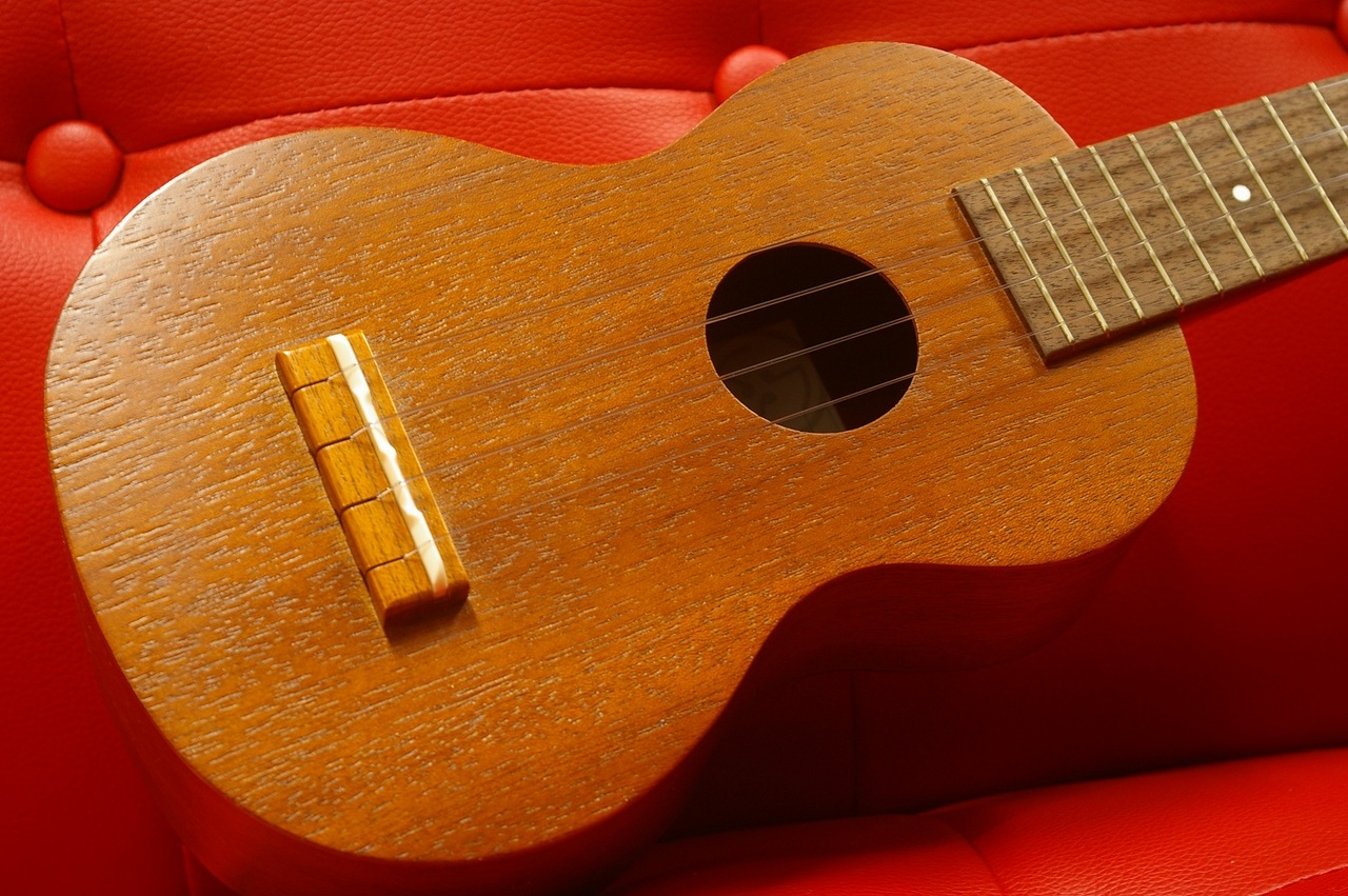 Famous ukulele ( フェイマス ウクレレ ) FS-1G