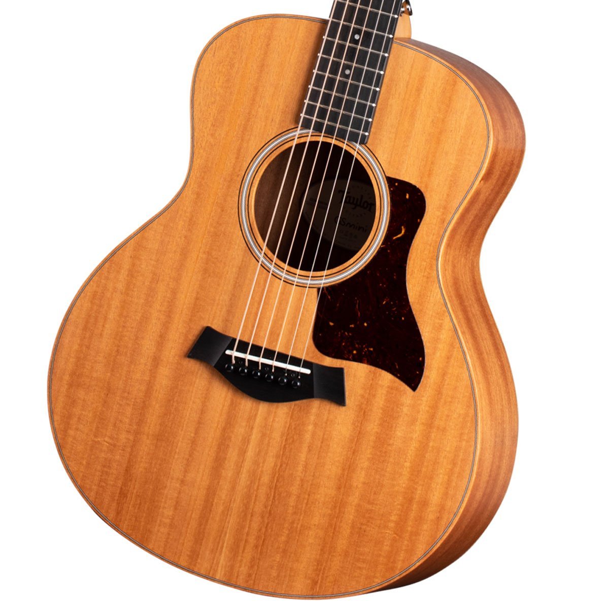Taylor GS Mini-e Mahogany テイラー アコースティックギター エレアコ