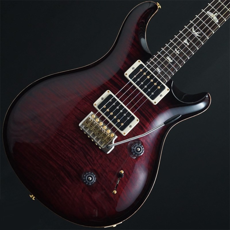 Paul Reed Smith Custom 24 10top mod - エレキギター